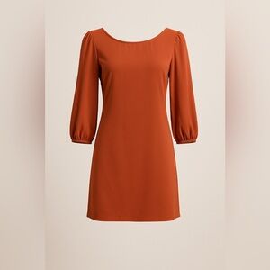 Lovely Day Rust Orange Mini Dress Small Puff Sleeve Scoop Neck